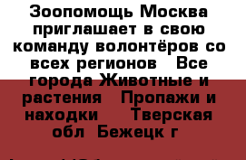 Зоопомощь.Москва приглашает в свою команду волонтёров со всех регионов - Все города Животные и растения » Пропажи и находки   . Тверская обл.,Бежецк г.